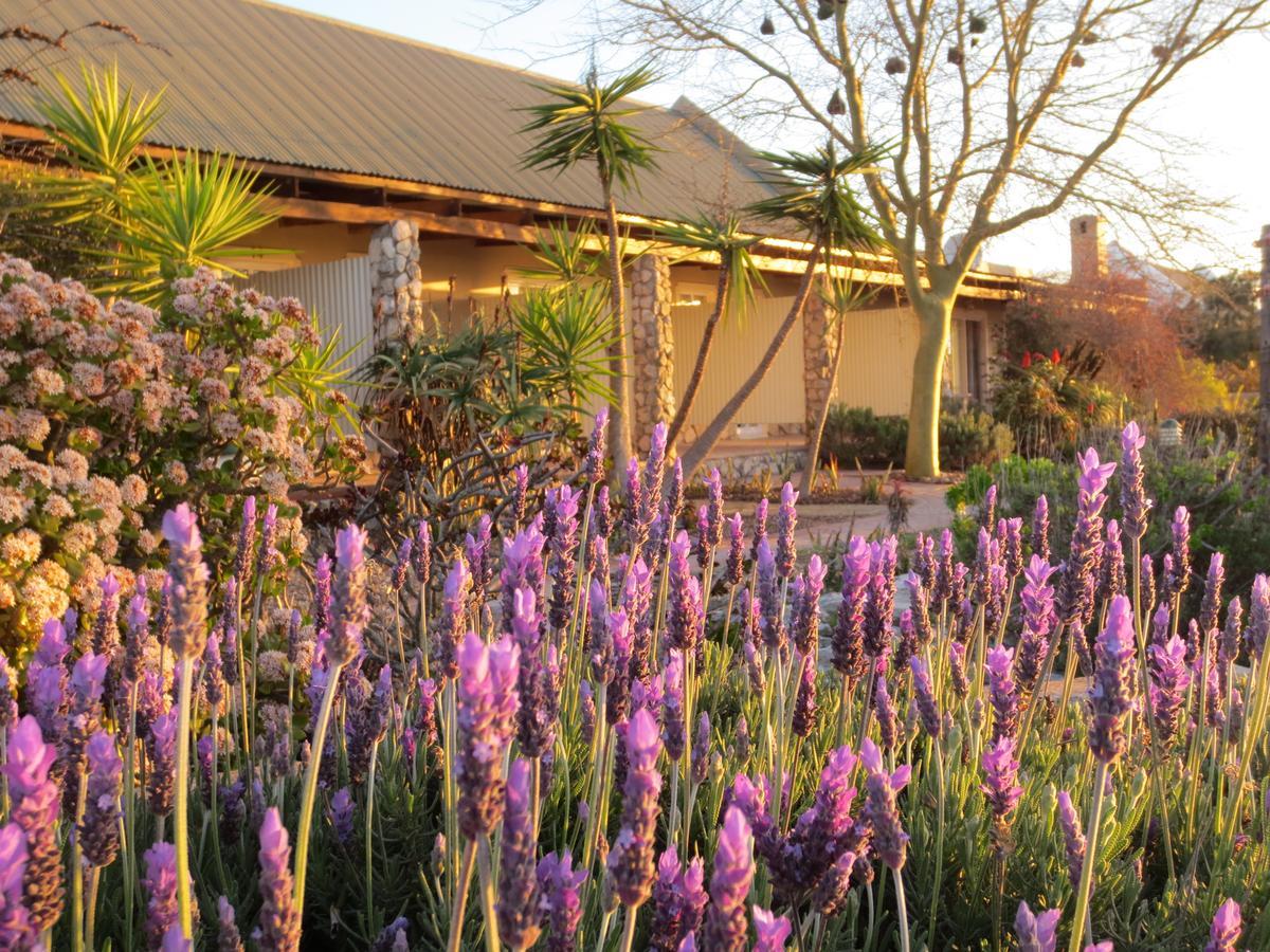 לאנגבאן Masada Guest House מראה חיצוני תמונה